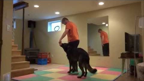 Pam Johnson: Video #2 - Pivots on a Platform