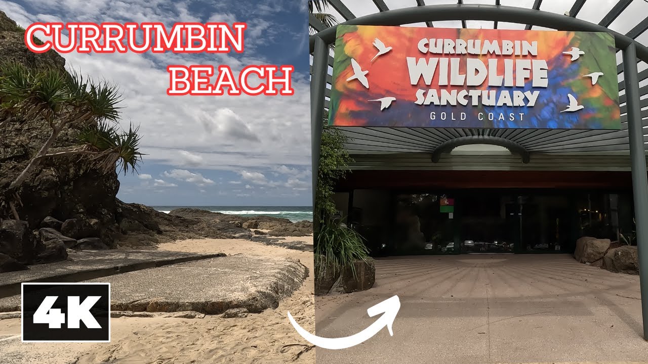 Currumbin, from the beach to the town, Gold Coast || [4K] Ambient Walk