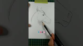 Cómo Dibujar Un Caballo