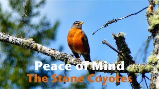 Video thumbnail of "The Stone Coyotes - Peace of Mind (HD)"