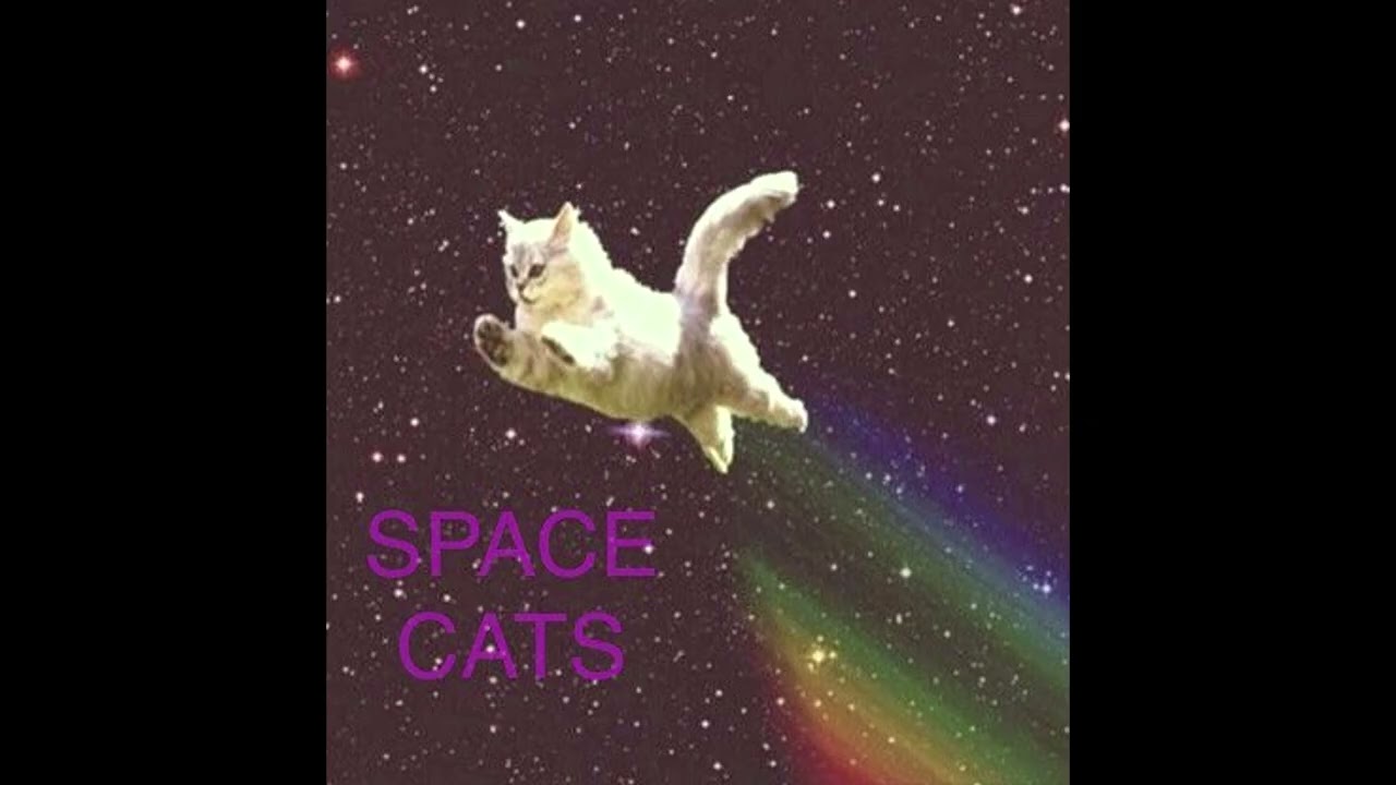 space cats beyond - space cats
