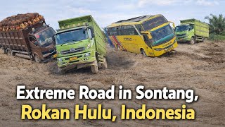 Extreme Road in Sontang, Rokan Hulu, Indonesia | Trucks & Bus Struggle Through Deep Mud