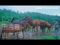 山林を整備する馬達の様子を見に行ったら元気そうで良かった
