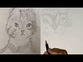 CAT SKETCH | TIME LAPSE | BELLAMKONDA TEJESWINI | THE ART OF DRAWING