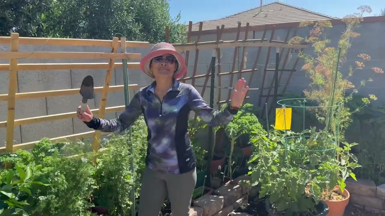 Easter Backyard Flowers 2025