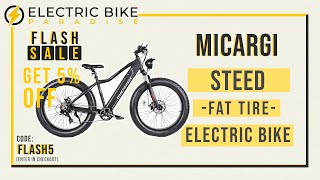 Micargi Steed MTB Fat Tire 800 Watts 
