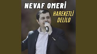 Were Wer Lê Canê
