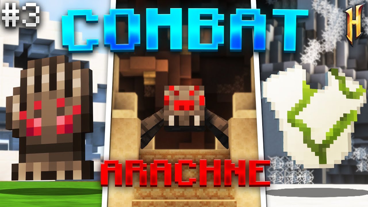 Ces Araignées Vont Nous Rendre RICHE | GUIDE Pour Débuter Le SKYBLOCK d'Hypixel En 2026 épisode 3 FR