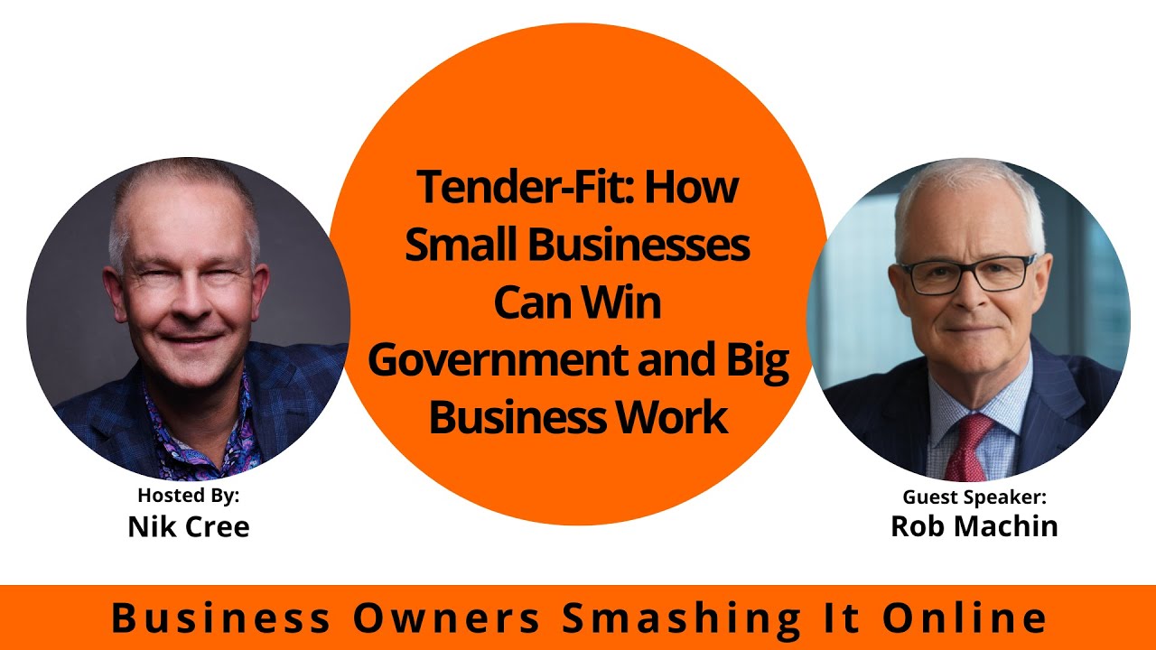 Tender-Fit: How Small Businesses Can Win Government and Big Business ...