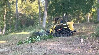 ASV RT50 at work.