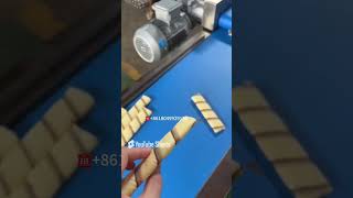 Famous Automatic Wafer Stick Roll Machines Finished Production at Workshop Net Worth