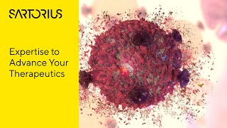 Gain deeper insights into the mechanisms of immune cell killing of tumor cells