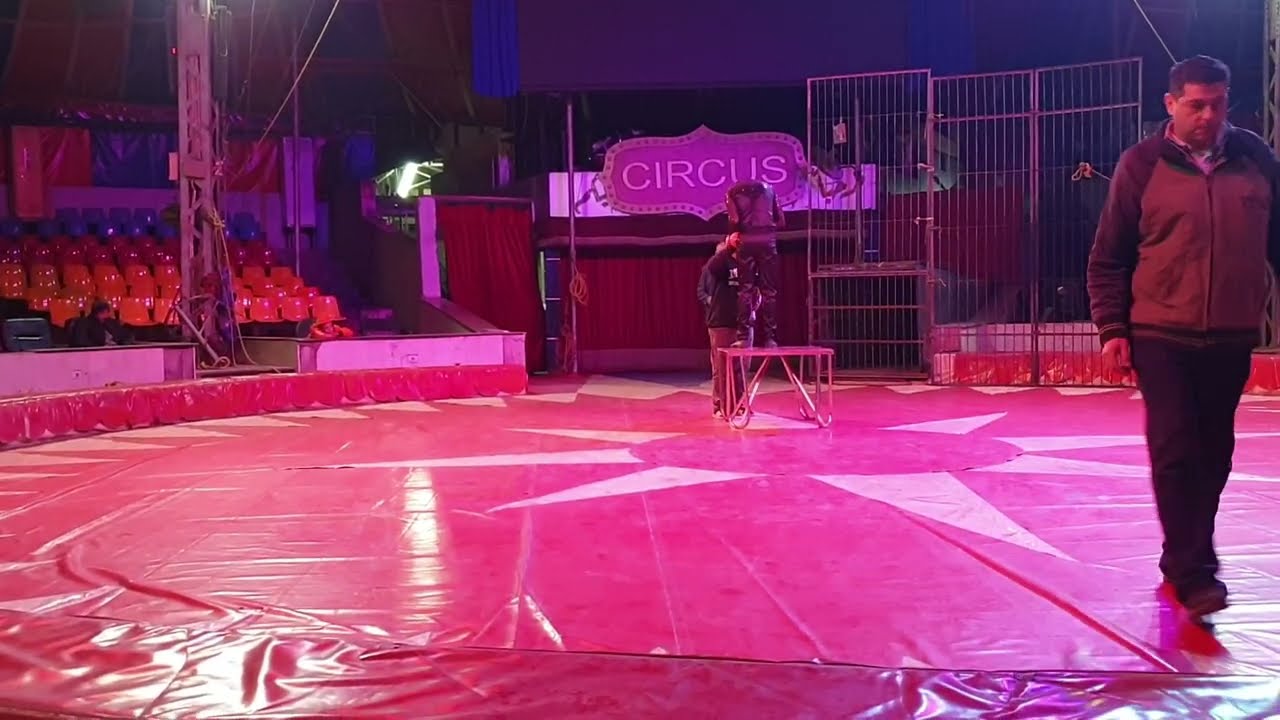 Egyptian national circus, December 2025, part 6 السيرك القومى المصرى ديسمبر٢٠٢٥ الجزء السادس