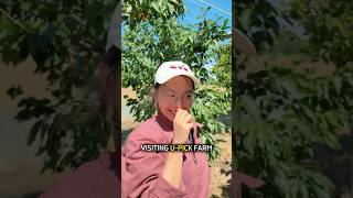 Cherry Picking Season 🍒 Hand-pick Cherry day |Garden vlog
