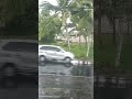 Natural Rain Sound For sleep #deepsleep #rain #rainforsleeping #rainsounds