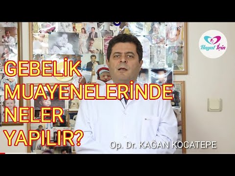 GEBELİK MUAYENELERİ VE ULTRASONLARI NE SIKLIKLA GERÇEKLEŞİR? HANGİ İNCELEMELER VE TESTLER YAPILIR?