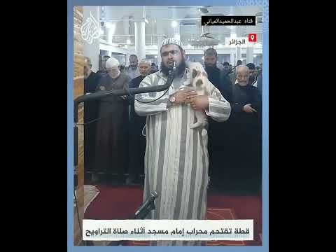 القطه والأمام الهره والأمام