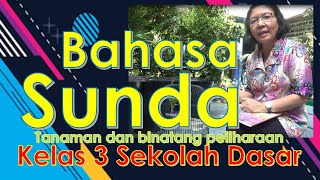 BAHASA SUNDA KELAS 3 SEKOLAH DASAR SEMESTER GASAL-PEPELAKAN JEUNG INGON INGON