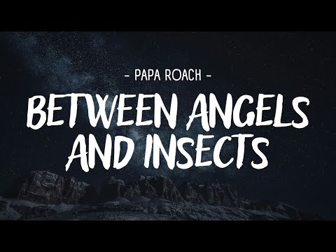 Papa Roach - Between Angels And Insects (Live @ Download Festival 2013) [HD REMASTERED]