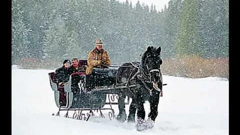 Sleigh Ride - The Ronettes