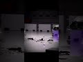 #carcrashes