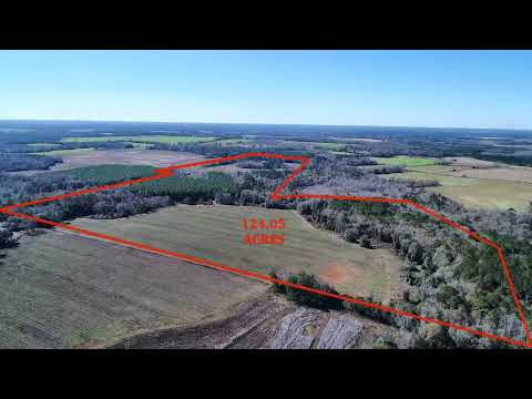 515 Phelps Lane, Dixie, GA home video tour