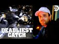 The saga gets attacked by seabirds  deadliest catch  discovery