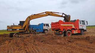 HYUNDAI Dump Truck, Dump Truck And Excavator Working, Excavator Digging Dirt On Dump Truck #EP1965