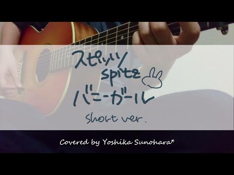 【アコギ８か月】スピッツ/バニーガール【弾き語り】