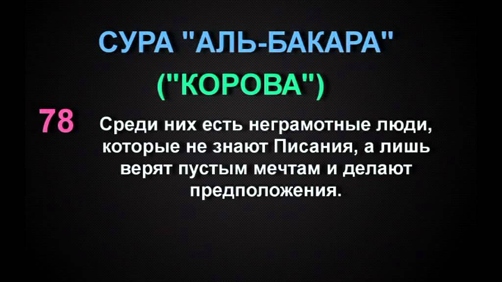 Сура 2 корова. Сура корова. Аль Бакара. Сура Аль Бакара корова.