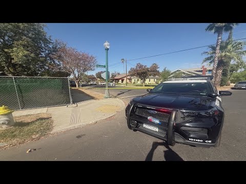 ICE agent shot by 72-year-old after early morning assault in Fresno, police say