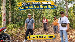 Boss, Huge Plot of Land for Sale, Very Cheap! 3,360 m2, Freehold Title, Asking 125 Million, Negot...