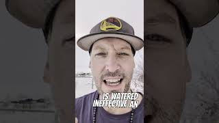 Million Dollar Mindset Hacks  Day 7!