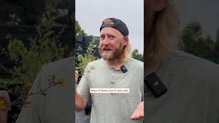 Bee's can't see the color red.