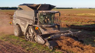 Fendt Ideal 8T Harvesting Redbeet Seed