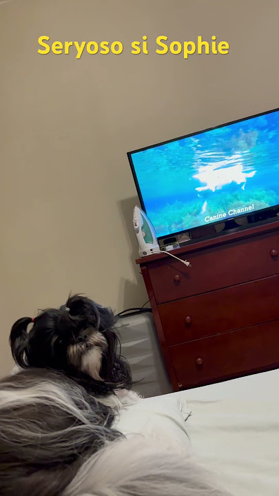 Watchinh movie