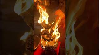 #delhi#haridwar#ganga#aarti #peace#innerpeacemusic#flowers #universe#message#foryou  #chooseyourpath