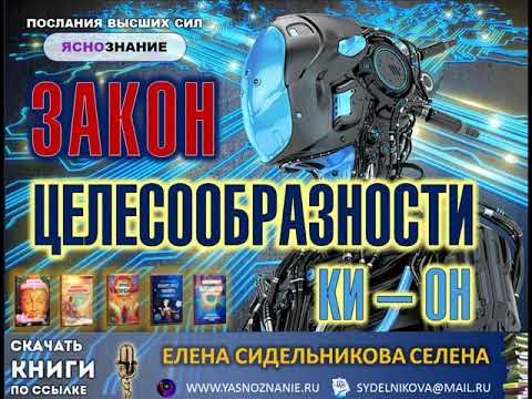 Аудиокнига абсолют 5