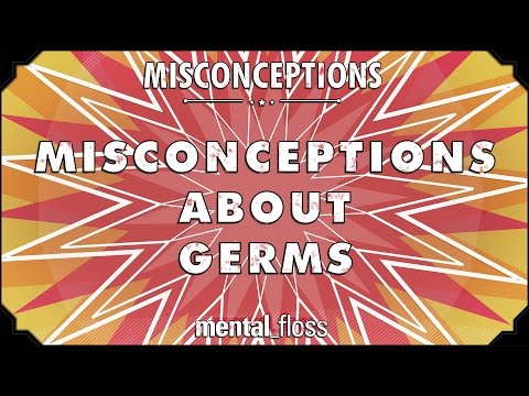 Misconceptions about Germs and Hygiene - mental_floss on YouTube (Ep. 12) video