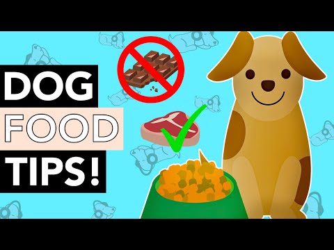 Dogs Nutrition