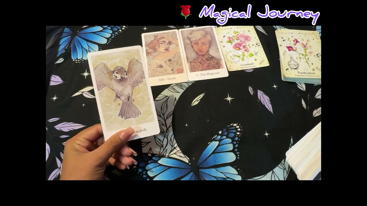 တစ်ဖက်သူနဲ့ ပတ်သက်ပြီး ဘာတွေ သိထားသင့်လဲ (RS/ situation-ship/ Married/LGBT)🌹collective tarot reading