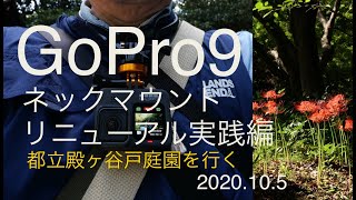 【GoPro9ネックマウントリニューアル後編 実践編】都立殿ヶ谷戸庭園を撮る4K