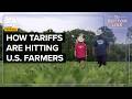 The True Cost Of Trump S Tariffs American Farmers Speak Out 