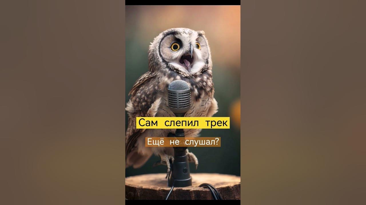 Новый трек - А я думала Сова! - YouTube