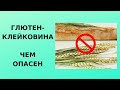 Глютен (клейковина).  Чем опасен