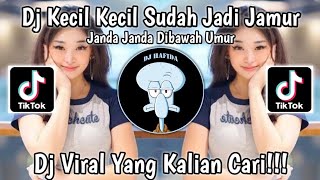 DJ KECIL KECIL SUDAH JAMUR JANDA JANDA DIBAWAH UMUR VIRAL TIKTOK TERBARU 2023 YANG KALIAN CARI