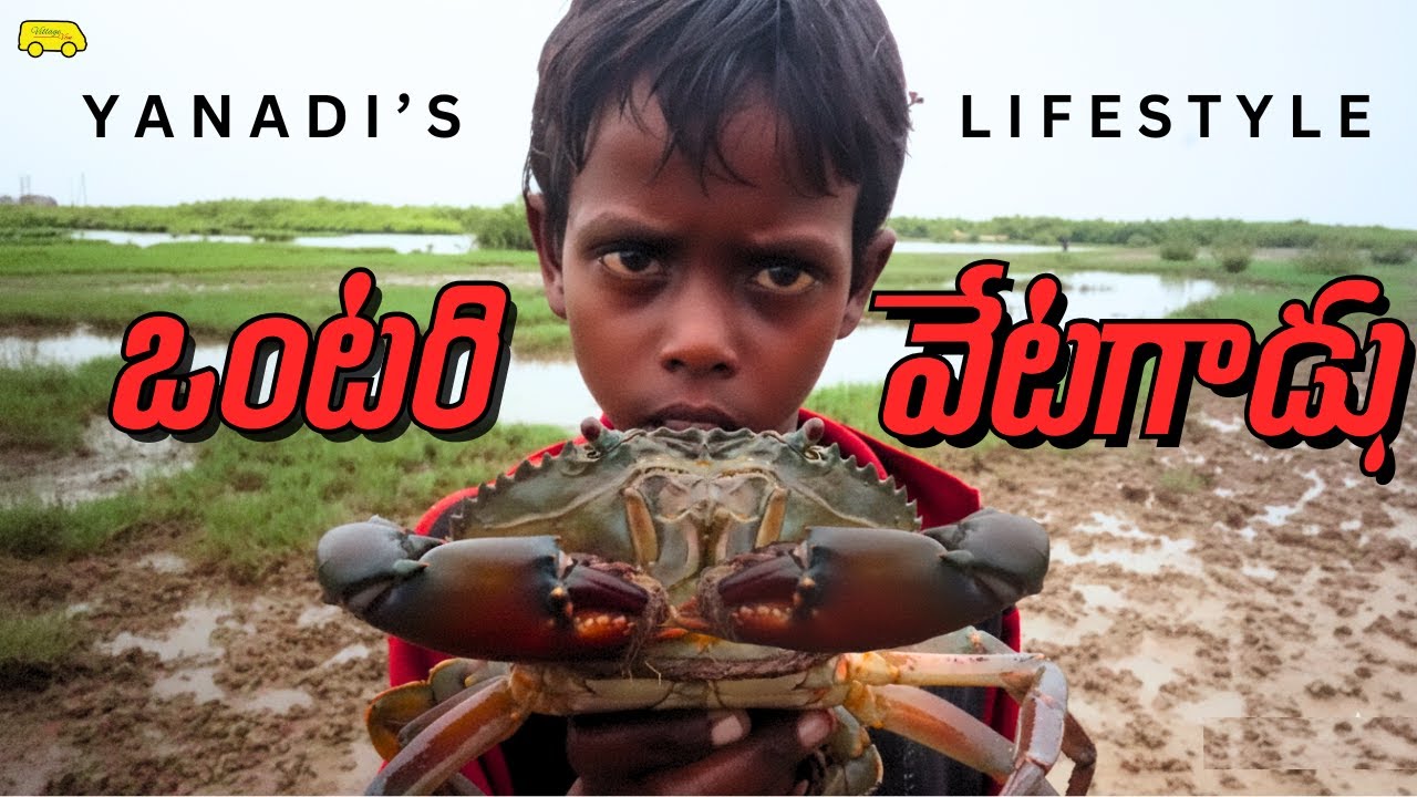 Одинокий охотник в джунглях. Племена охоты на крабов. Жизнь — это приключение, оставьте её в покое.