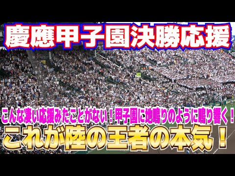 【高校野球　応援】これが本気の慶應！陸の王者の一体感はえげつない！甲子園中が揺れる若き血は圧巻！慶應、魂の応援が凄まじい！　5回5得点応援【決勝　 仙台育英 vs 慶應義塾】2023.8.23