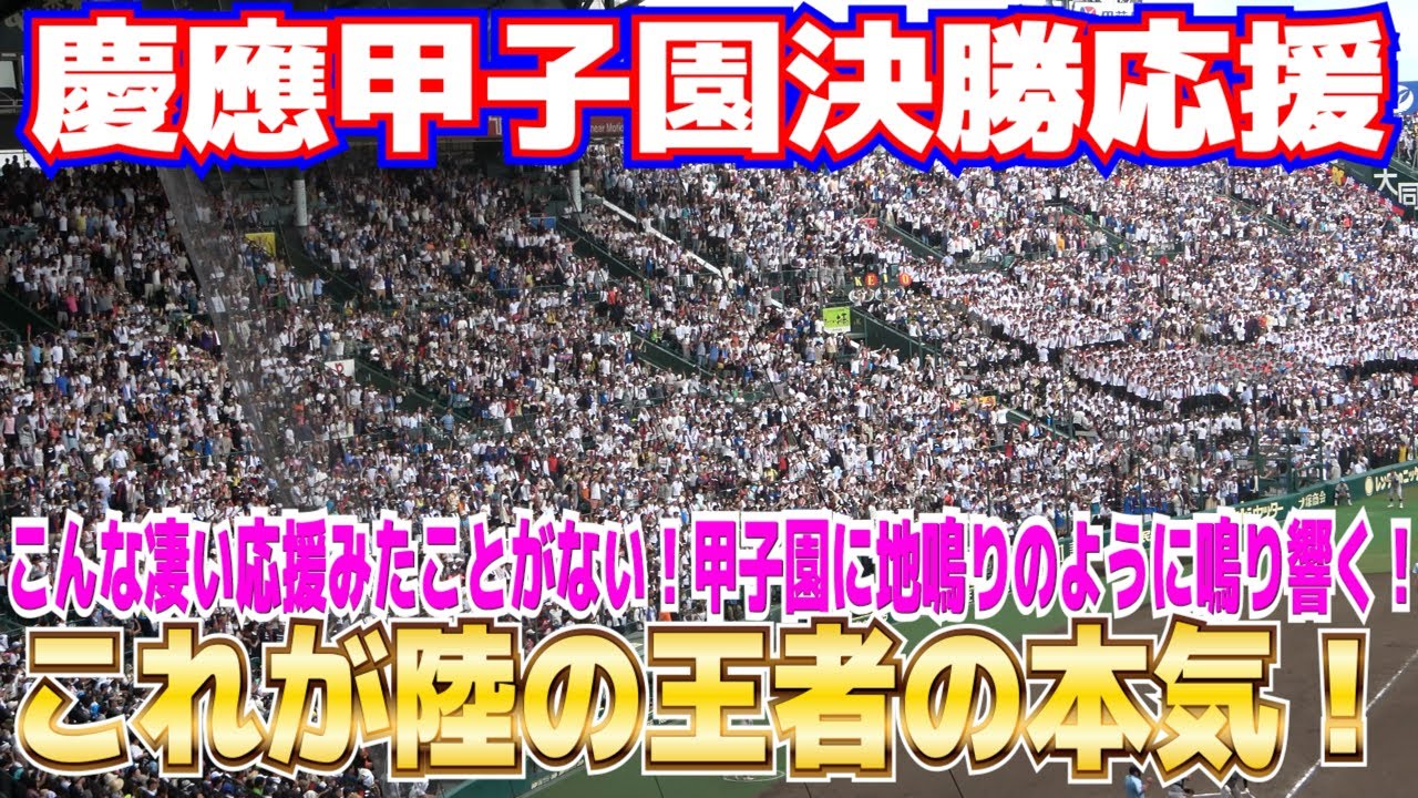 【高校野球　応援】これが本気の慶應！陸の王者の一体感はえげつない！甲子園中が揺れる若き血は圧巻！慶應、魂の応援が凄まじい！　5回5得点応援【決勝　 仙台育英 vs 慶應義塾】2023.8.23