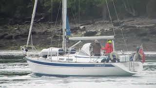 Yacht Symphony on passage to NE Menai Bridge 01/05/26